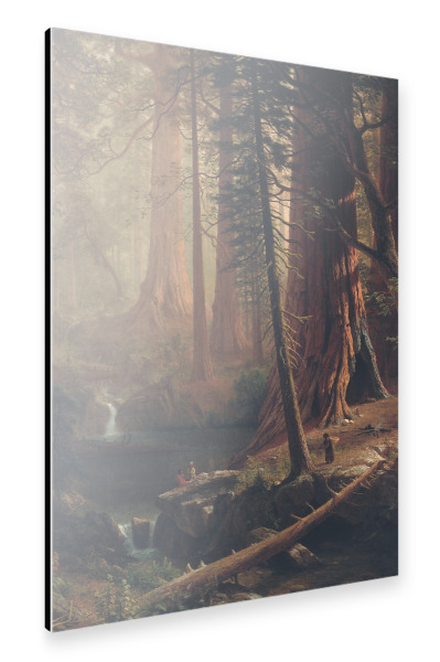 Alu-Dibond "Riesige Mammutbäume-Kalifornien" 30x20 cm artboxONE