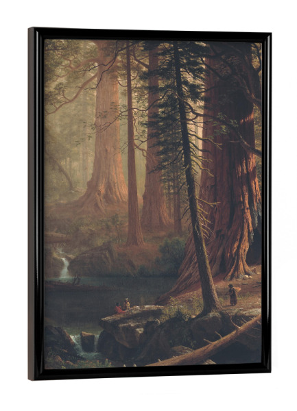 Poster mit schwarzem Rahmen "Riesige Mammutbäume-Kalifornien" artboxONE - Natur,Reise,Reise / Länder,Für Mama,Für Papa