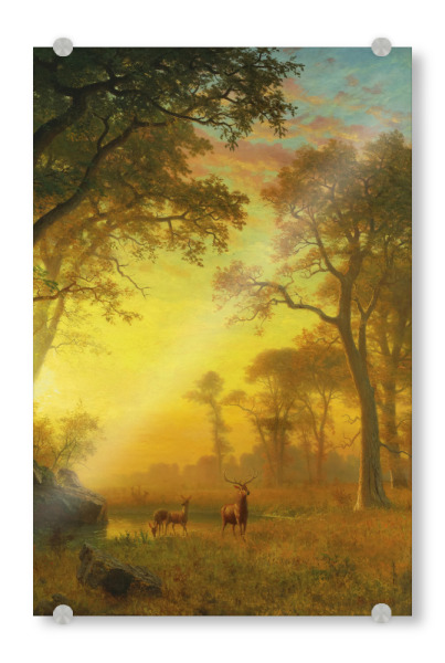 Acrylglasbild "Light in the Forest" artboxONE - Natur,Reise,Reise / Länder,Für Mama,Für Papa