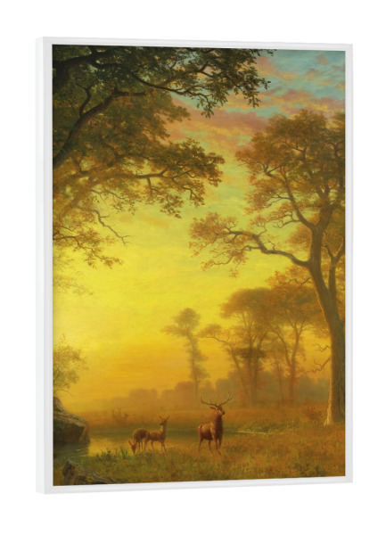 Poster mit weißem Rahmen "Light in the Forest" artboxONE - Natur,Reise,Reise / Länder,Für Mama,Für Papa