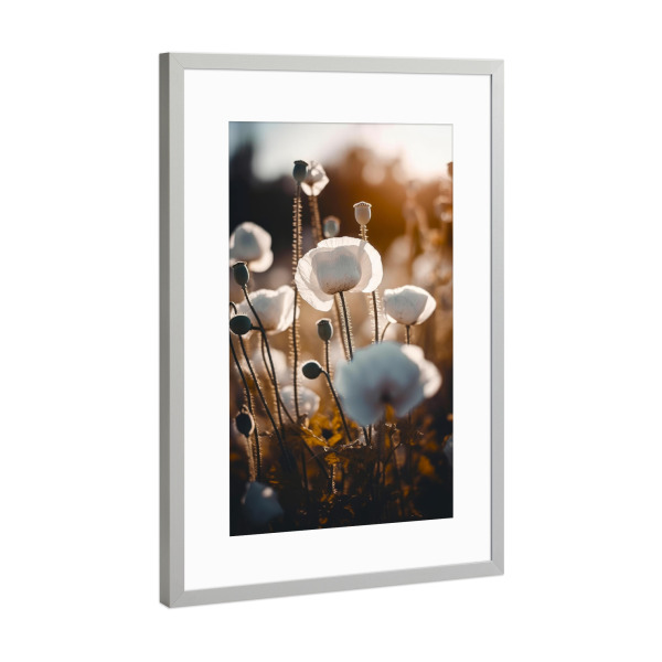 Poster mit Rahmen Silber "White Poppy Field (Three)" artboxONE - Natur,Floral,Für Mama