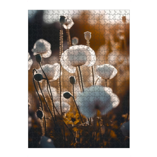 artboxONE Puzzle "White Poppy Field (Three)" artboxONE - Natur,Floral,Für Mama