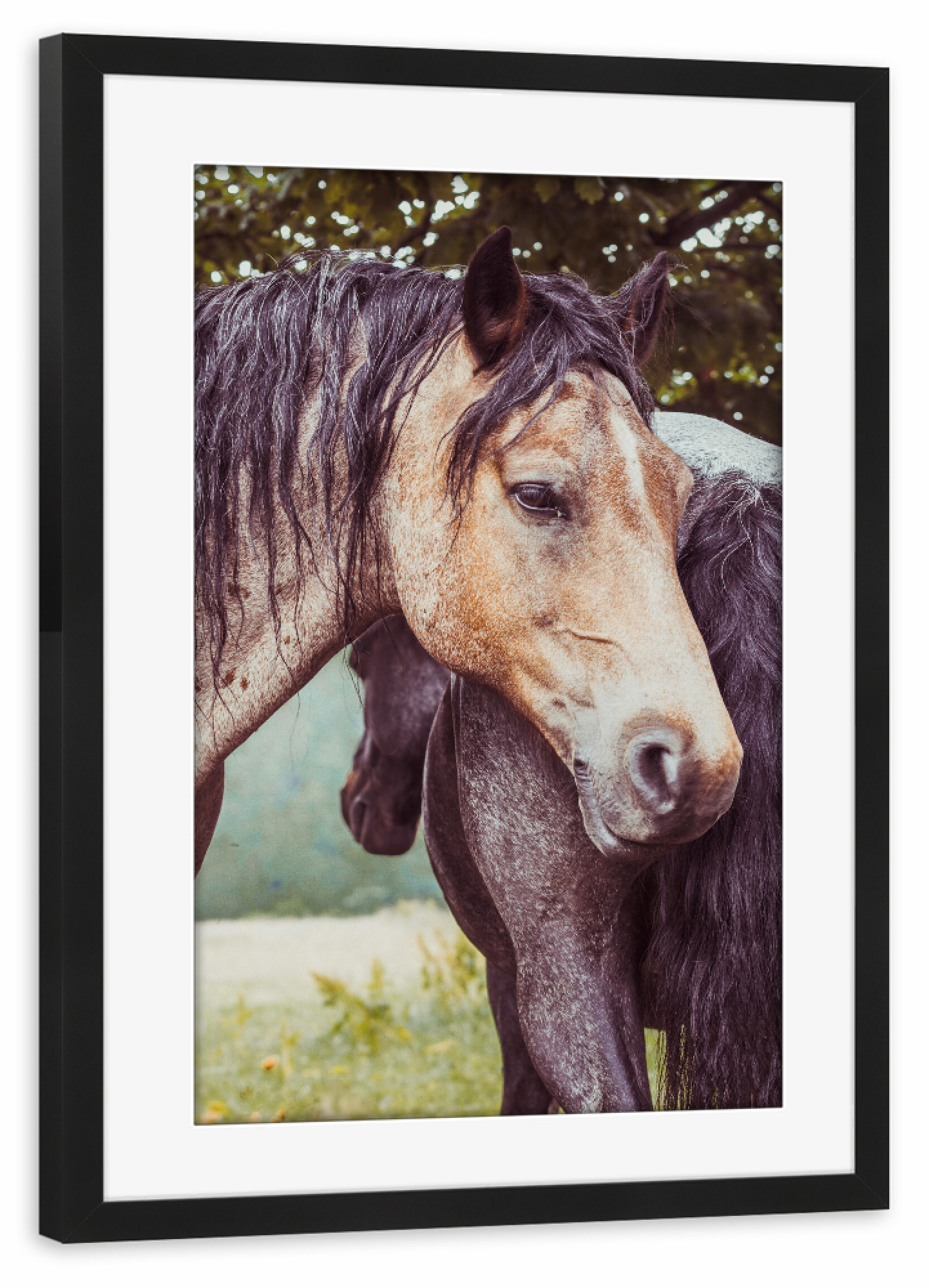 Poster mit Rahmen schwarz "Pferdefreundschaft I" artboxONE - Natur,Tiere,Liebe