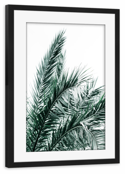 Poster mit Rahmen schwarz "Summer Palms Trees" artboxONE - Natur,Floral,Reise / Strand und Meer