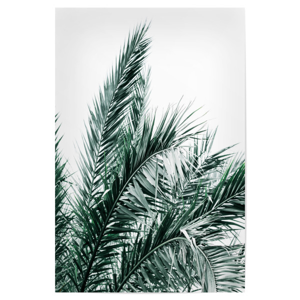 Poster "Summer Palms Trees" artboxONE - Natur,Floral,Reise / Strand und Meer