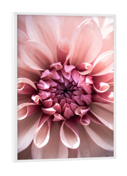 Poster mit weißem Rahmen "Pink Flower of life" artboxONE - Natur,Floral,Für Mama