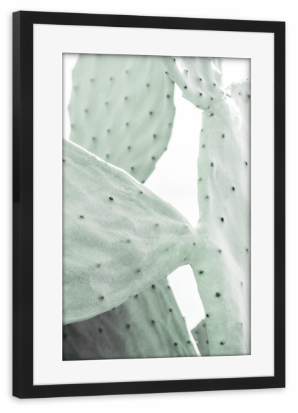 Poster mit Rahmen schwarz "Mint Green Cactus" artboxONE - Natur,Floral,Reise / Strand und Meer