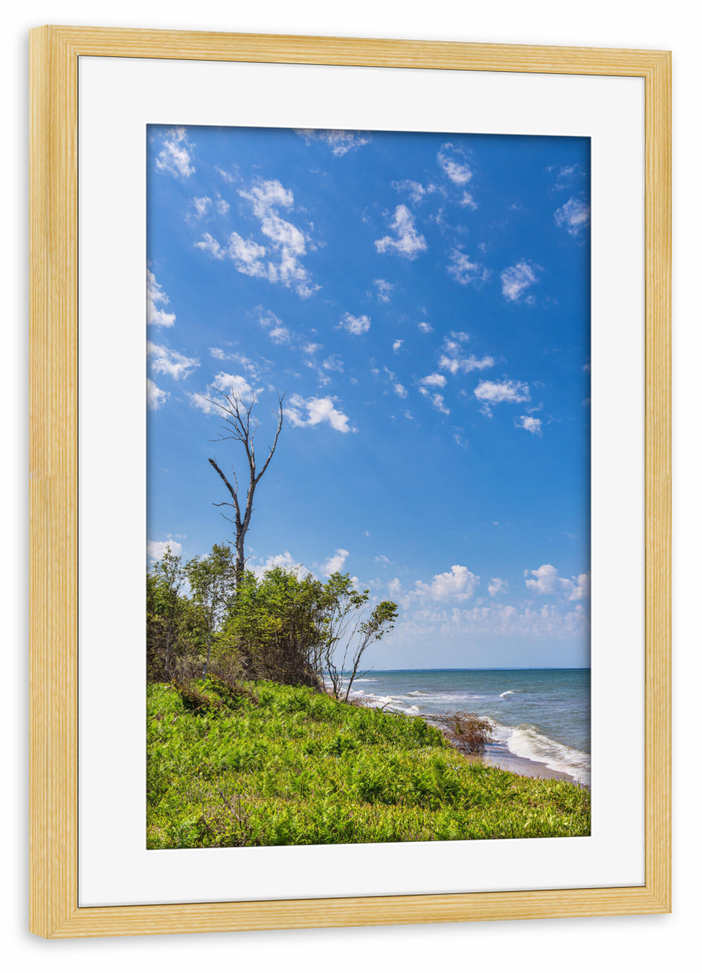 Poster mit Rahmen kiefer "Wellen, Baum, Gras, Wolken" artboxONE - Natur,Reise,Reise / Strand und Meer