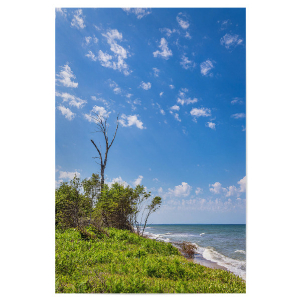Poster 30x20 cm "Wellen, Baum, Gras, Wolken" artboxONE - Natur,Reise,Reise / Strand und Meer