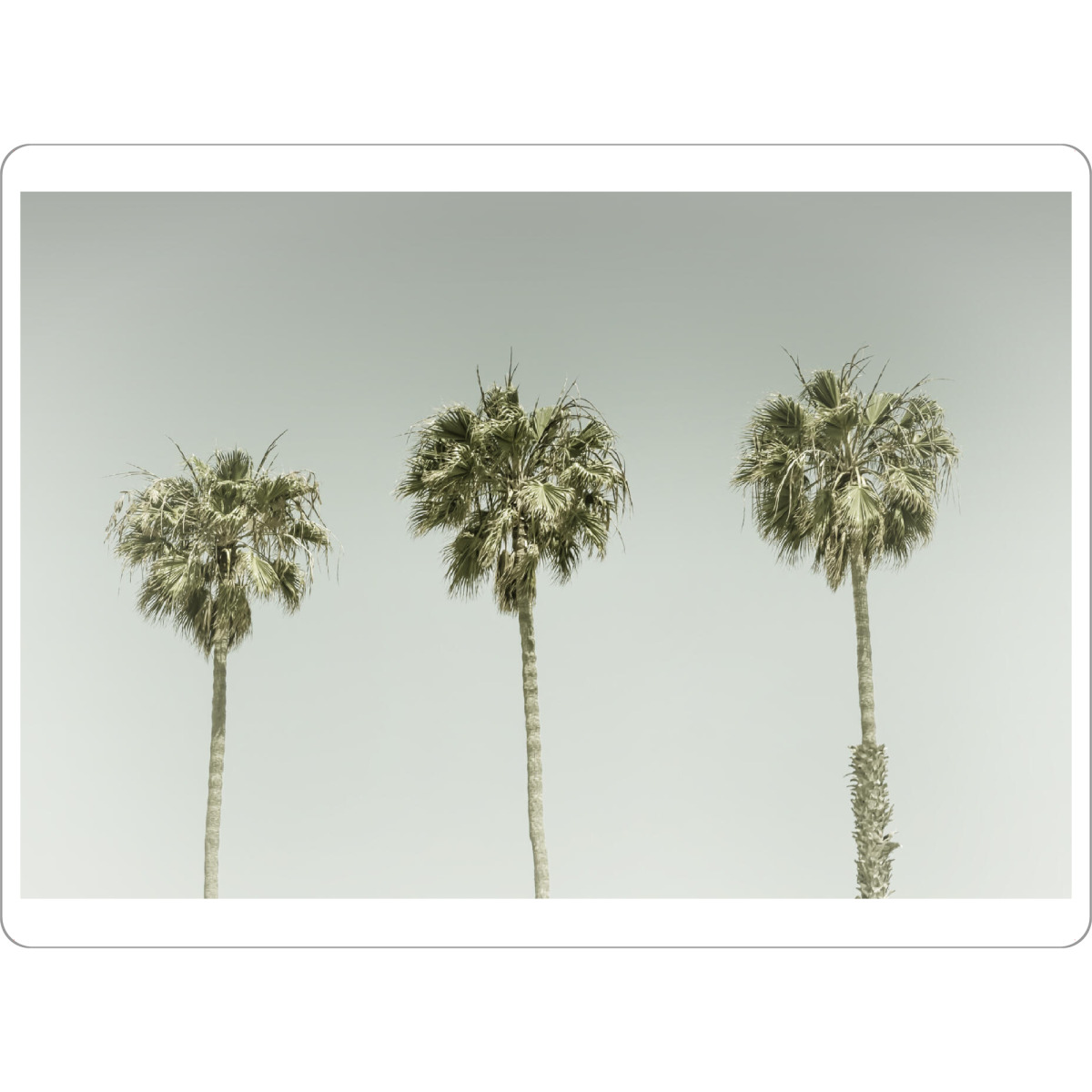 Tischset "Palmenminimalismus" artboxONE - Natur,Reise / Strand und Meer