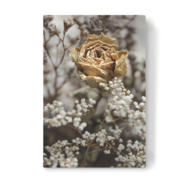 Leinwandbild "Trockenblumen Beige Weiß" artboxONE - Natur,Floral,Liebe