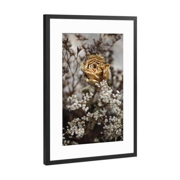 Poster mit Rahmen Schwarz (Metallic) "Trockenblumen Beige Weiß" artboxONE - Natur,Floral,Liebe