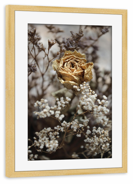 Poster mit Rahmen kiefer "Trockenblumen Beige Weiß" artboxONE - Natur,Floral,Liebe