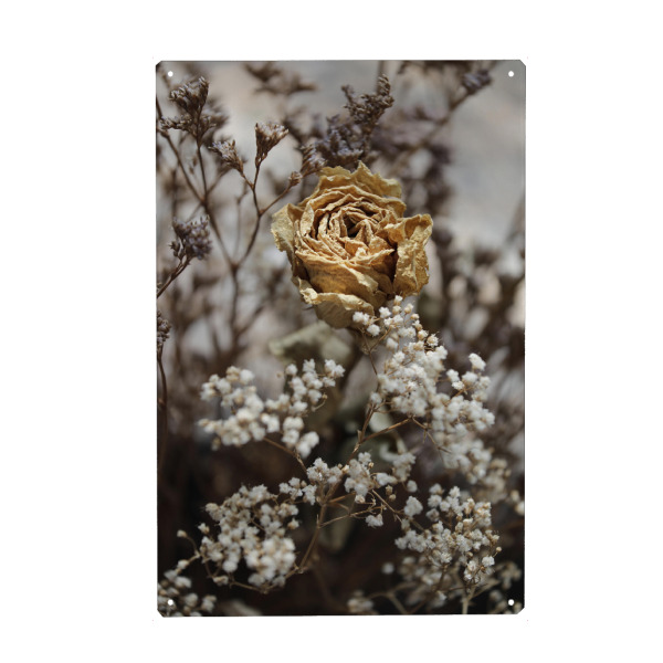 Holzbild "Trockenblumen Beige Weiß" artboxONE - Natur,Floral,Liebe