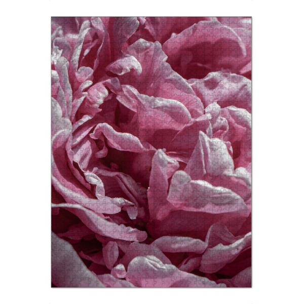 Puzzle Ravensburger "Hauch von Blütenblättern" artboxONE - Natur,Floral,Liebe