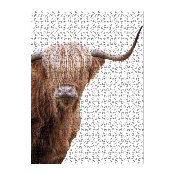 Puzzle Ravensburger "Schottische Hochlandkuh" artboxONE - Natur,Tiere