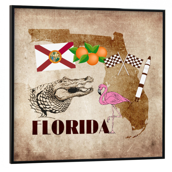 Poster mit schwarzem Rahmen 30x30 cm "Florida illustrated Map" artboxONE - Reise,Reise / Strand und Meer,Reise / Länder,Kartografie
