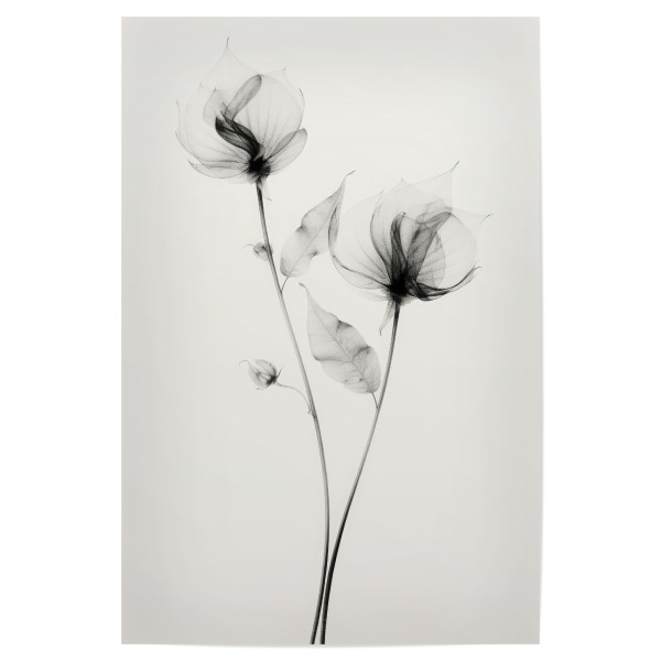 Poster "Transparent Botanic (Seven)" artboxONE - Floral,Abstrakt,Für Mama