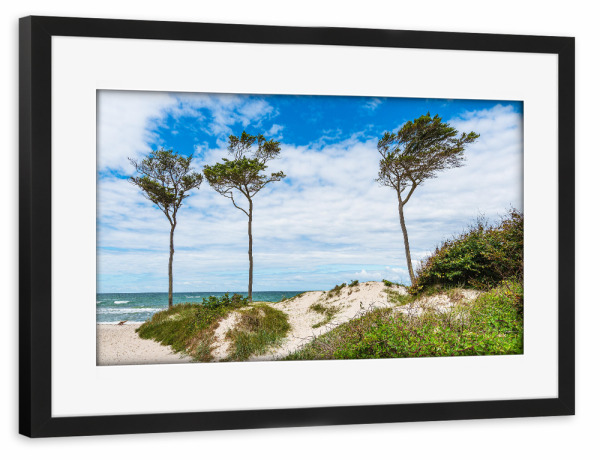 Poster mit Rahmen schwarz "Düne, Windflüchter, Meer" artboxONE - Natur,Reise,Reise / Strand und Meer