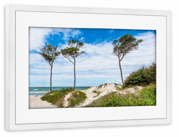 Poster mit Rahmen weiß "Düne, Windflüchter, Meer" artboxONE - Natur,Reise,Reise / Strand und Meer
