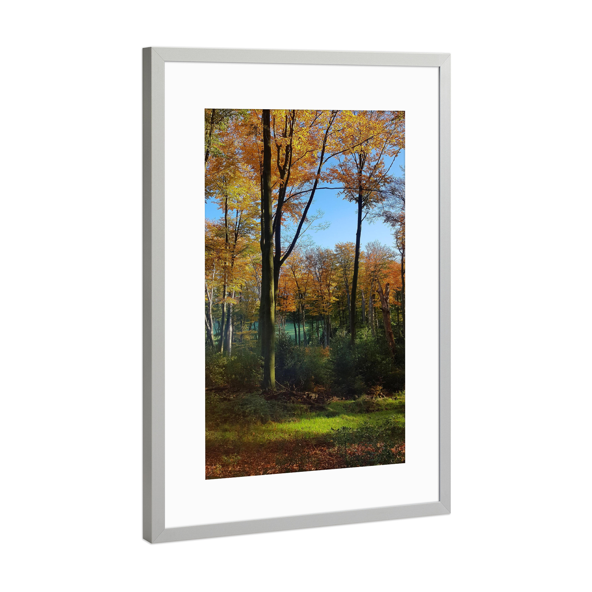 Poster mit Rahmen Silber "Lichtung im Herbstwald" artboxONE - Natur,Buchstaben / H - Wald,Herbst,Himmel,Bäume,Blätter,Holz,Ruhe,Natur,Lichtung,Laub