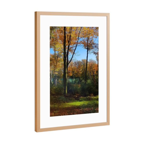Poster mit Rahmen Kupfer "Lichtung im Herbstwald" artboxONE - Natur,Buchstaben / H - Wald,Herbst,Himmel,Bäume,Blätter,Holz,Ruhe,Natur,Lichtung,Laub