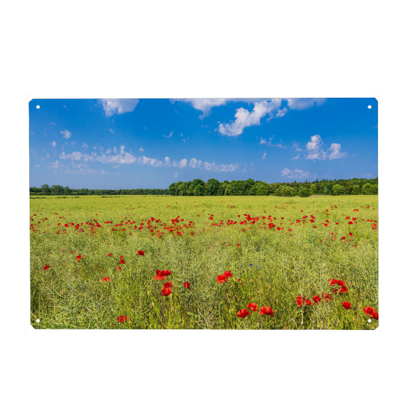 Holzbild "Rapsfeld mit Mohnblumen" artboxONE - Natur,Reise