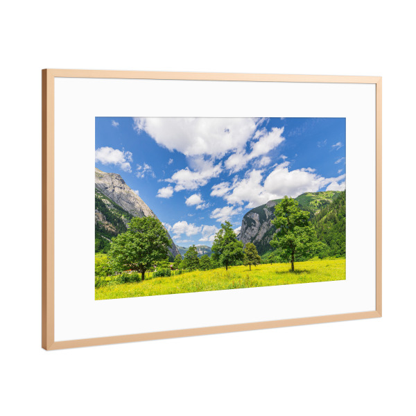 Poster mit Rahmen Kupfer "Wiese, Ahornbäume, Berge" artboxONE - Natur,Reise,Reise / Länder