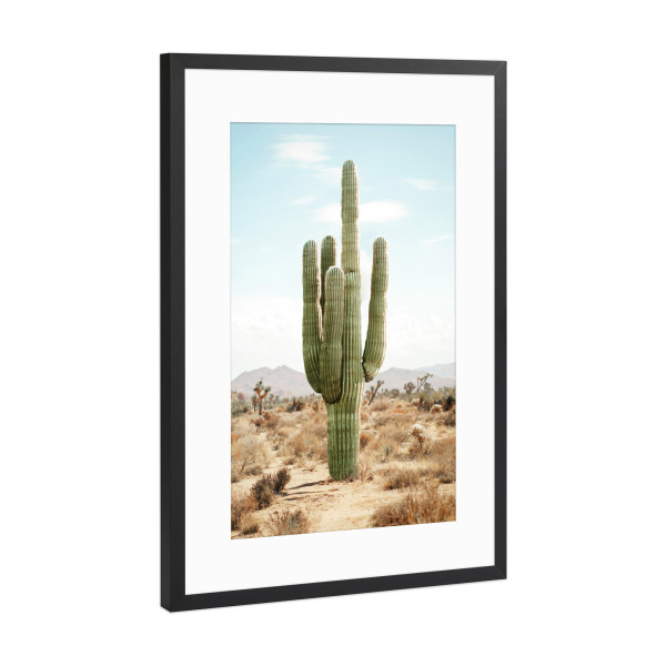 Poster mit Rahmen Schwarz (Metallic) "Kaktusleben" artboxONE - Natur,Reise