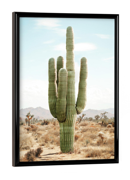 Poster mit schwarzem Rahmen "Kaktusleben" artboxONE - Natur,Reise