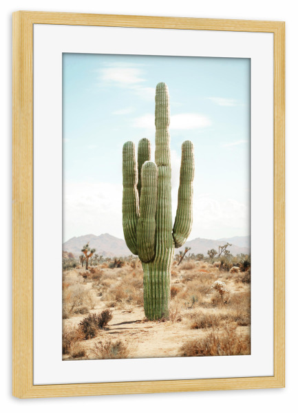 Poster mit Rahmen kiefer "Kaktusleben" artboxONE - Natur,Reise