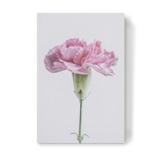 Leinwandbild "Schön in pink" artboxONE - Natur,Floral,Für Mama