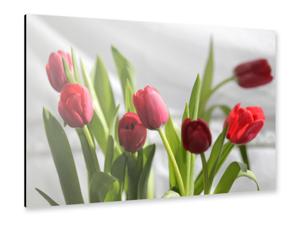 Alu-Dibond "Tulpen Blumenstrauß close up" 30x20 cm artboxONE