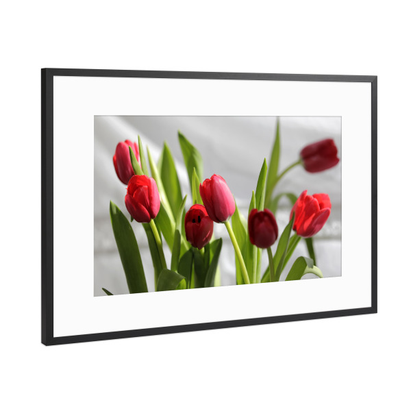 Poster mit Rahmen Schwarz (Metallic) "Tulpen Blumenstrauß close up" artboxONE - Natur,Floral,Liebe