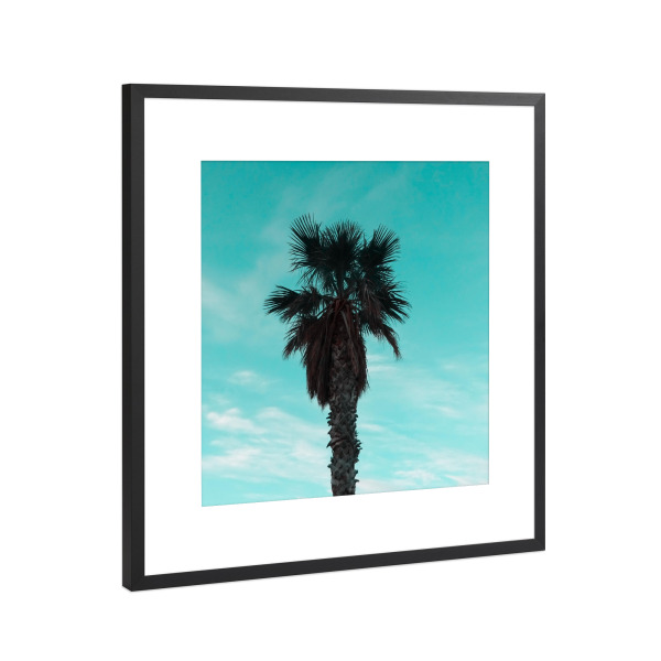 Poster mit Rahmen Schwarz (Metallic) "Stylish Palm" artboxONE - Natur,Reise,Floral