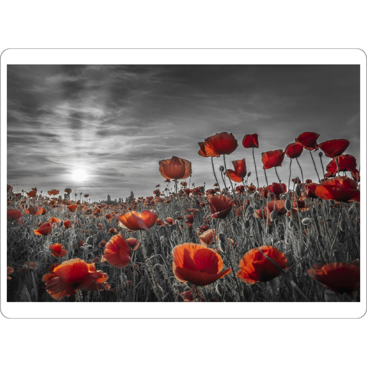 Tischset "Mohn im Sonnenuntergang - colorkey" artboxONE - Natur,Floral