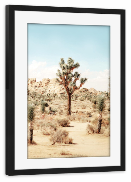 Poster mit Rahmen schwarz "Joshua Tree-Wüste" artboxONE - Natur,Reise,Floral