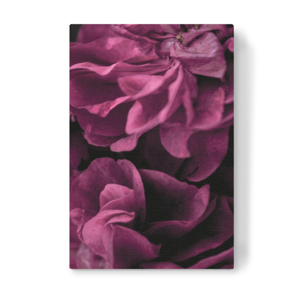 Leinwandbild "Tiefrosa - Blütenblätter" artboxONE - Natur,Floral,Für Mama