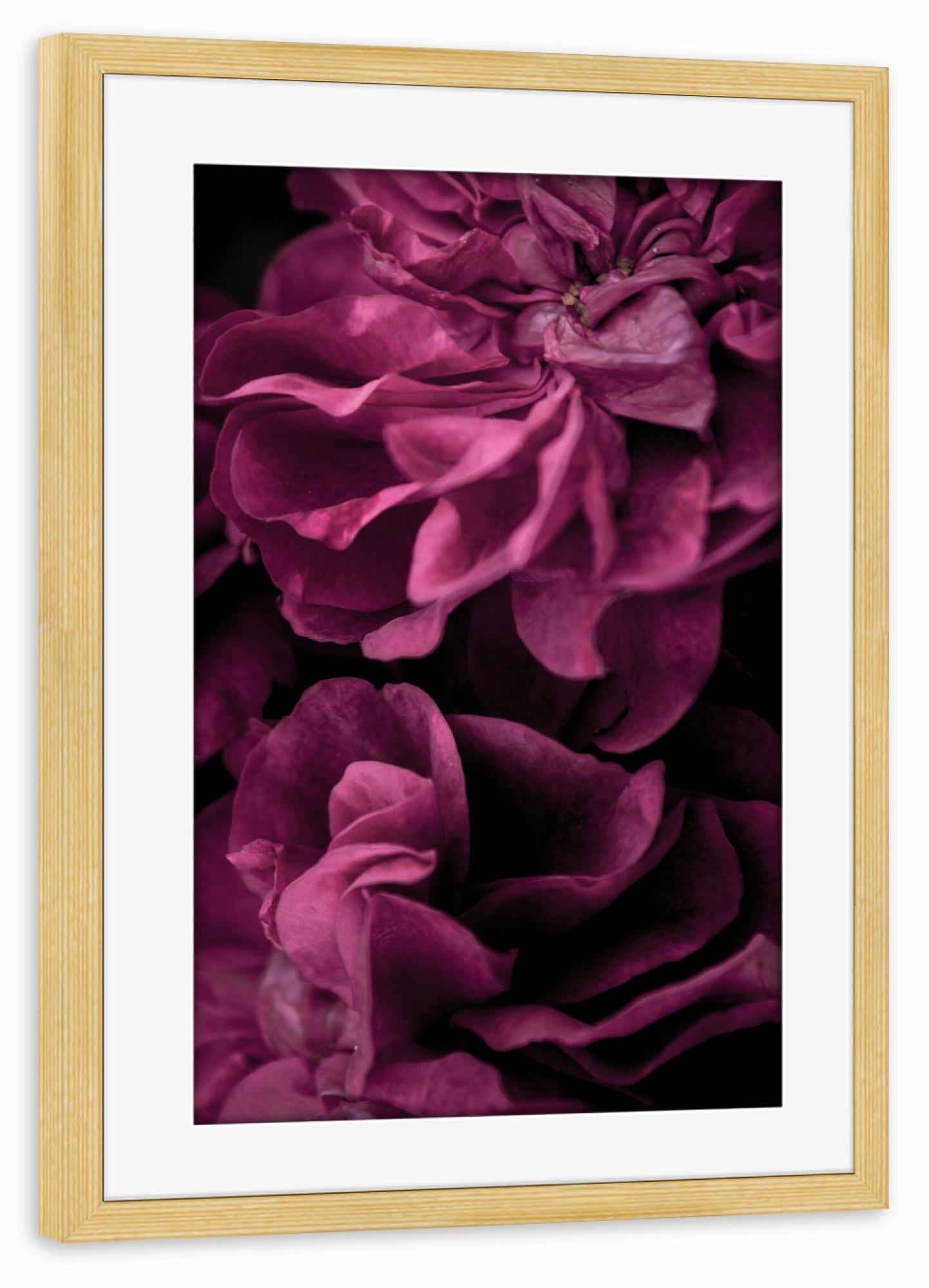 Poster mit Rahmen kiefer "Tiefrosa - Blütenblätter" artboxONE - Natur,Floral,Für Mama