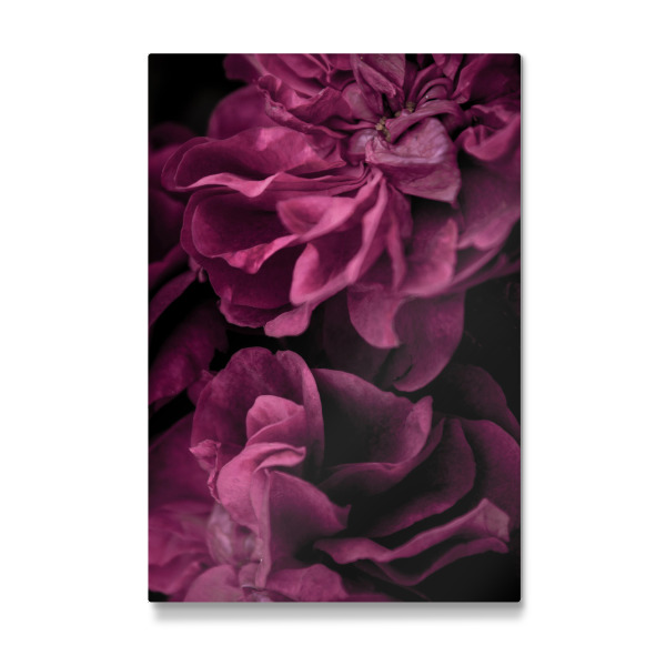 Galerie-Print "Tiefrosa - Blütenblätter" 30x20 cm artboxONE