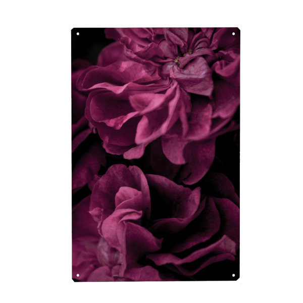 Holzbild "Tiefrosa - Blütenblätter" artboxONE - Natur,Floral,Für Mama