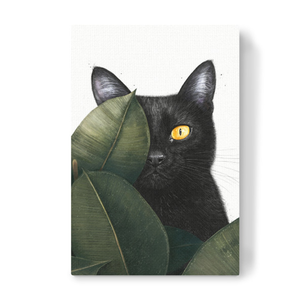 Leinwandbild "Schwarze Katze im Ficus" artboxONE - Natur,Floral,Tiere,Lustig - Katze,Katzen,Schwarze katze,Pflanze,Grün,Ficus,Blätter,Muttertag,Sommer