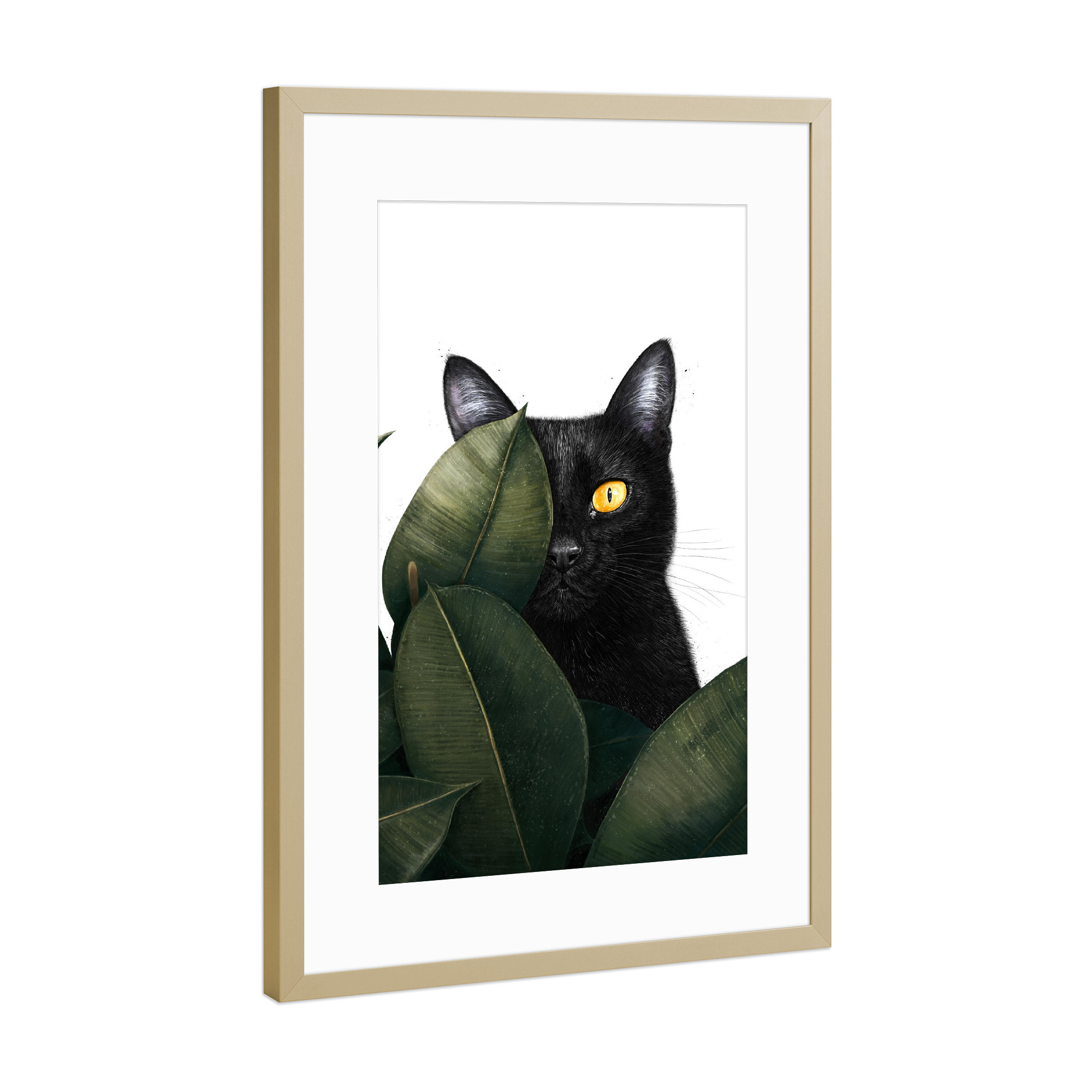 Poster mit Rahmen Gold "Schwarze Katze im Ficus" artboxONE - Natur,Floral,Tiere,Lustig