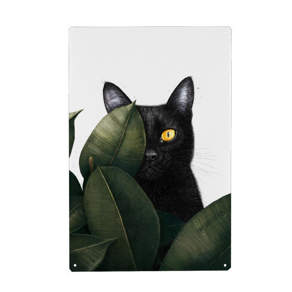 Metall Poster "Schwarze Katze im Ficus" artboxONE - Natur,Floral,Tiere,Lustig