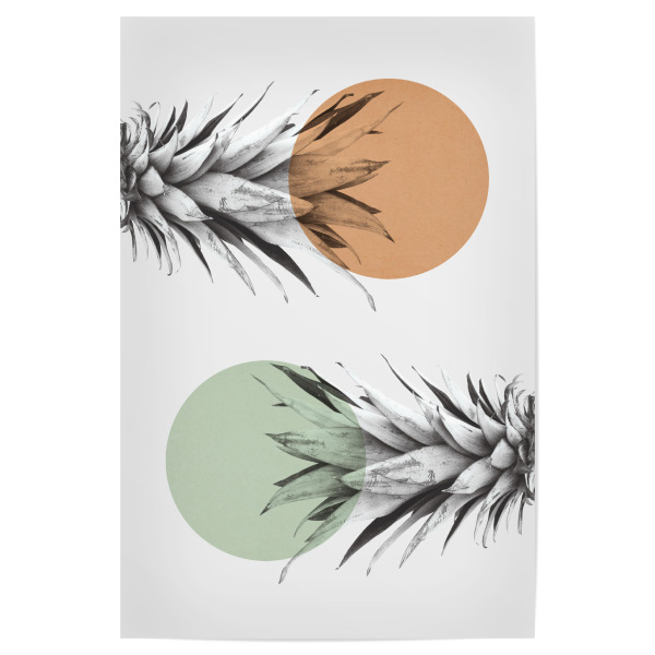 Poster 30x20 cm "Pineapple and circles" artboxONE - Floral - Pineapple,Collage,Floral,Nature,Leaves,Circles,Fruit,Summer