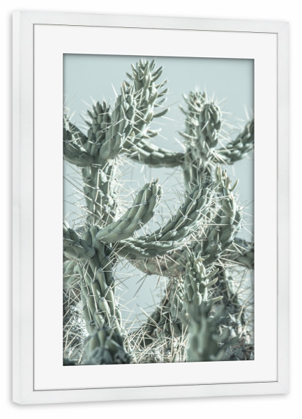 Poster mit Rahmen weiß "Stacheliger grüner Kaktus" artboxONE - Natur,Floral,Reise / Strand und Meer