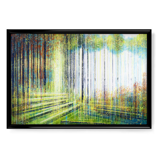 Forest in Spring
