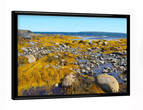 Poster mit schwarzem Rahmen "Gelbe Küstenlandschaft" artboxONE - Natur,Reise / Strand und Meer,Reise / Länder