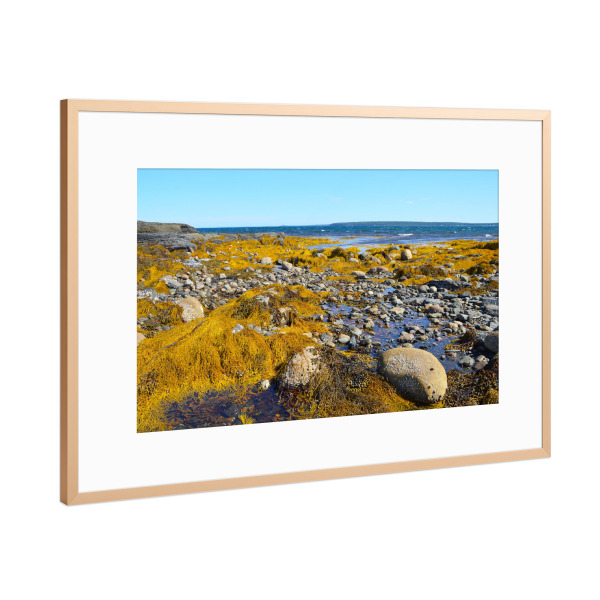 Poster mit Rahmen Kupfer "Gelbe Küstenlandschaft" artboxONE - Natur,Reise / Strand und Meer,Reise / Länder