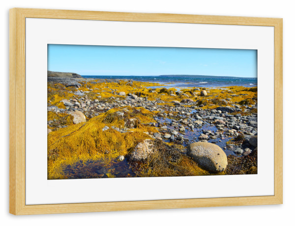Poster mit Rahmen kiefer "Gelbe Küstenlandschaft" artboxONE - Natur,Reise / Strand und Meer,Reise / Länder